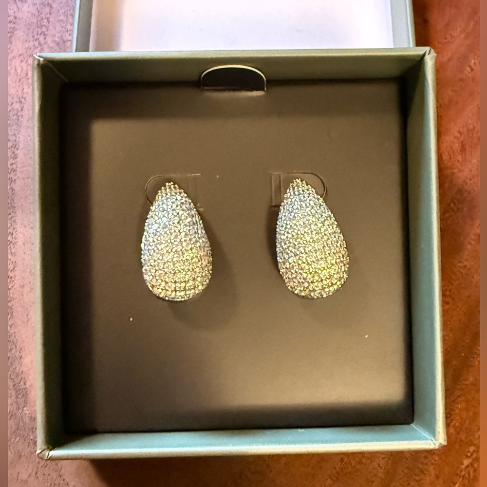 Jewels by Sunaina Stud Earrings Silver Plated W/CZ Stones NIB